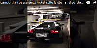 lambo