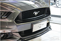 mustang2