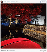 sportsinsider jahresrückblick