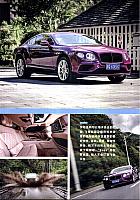topdriver p1500001