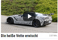 vette