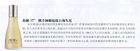 yangzi